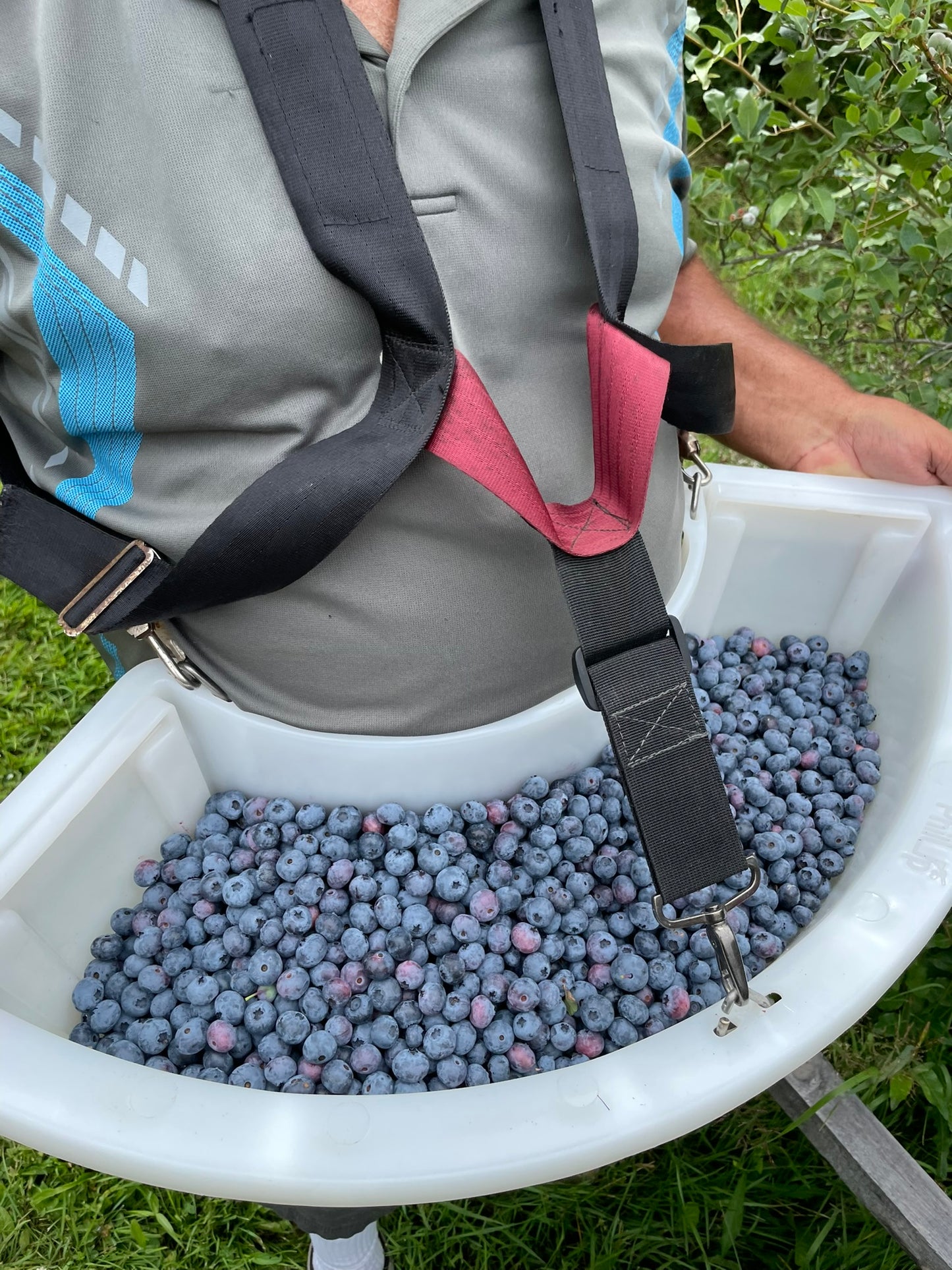 Harvest Bucket System (Full)