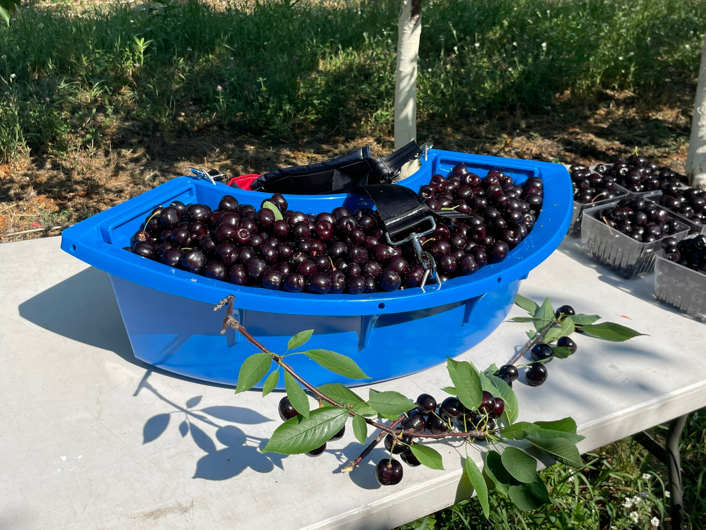 Harvest Bucket System (Full)