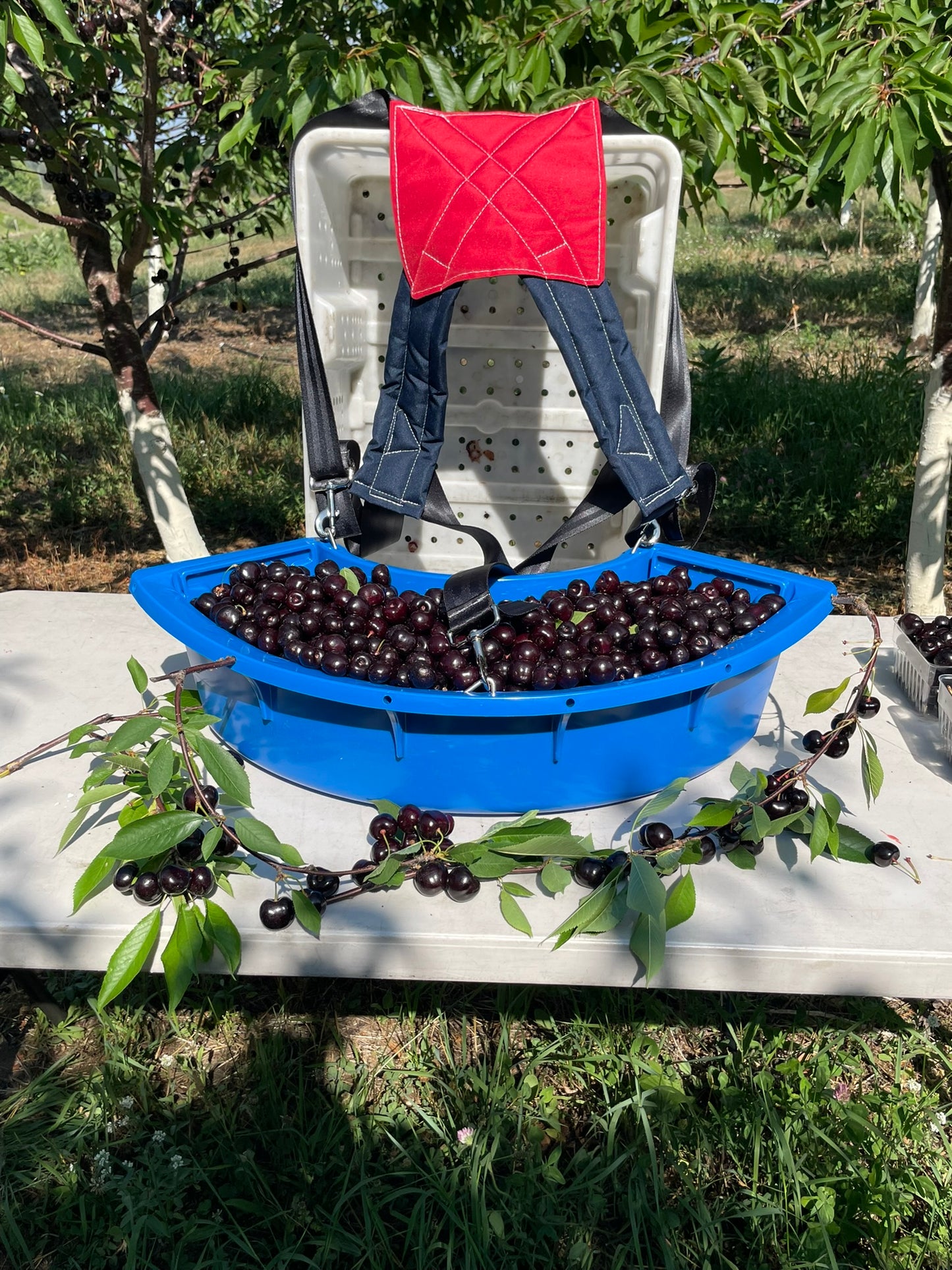 Harvest Bucket System (Full)