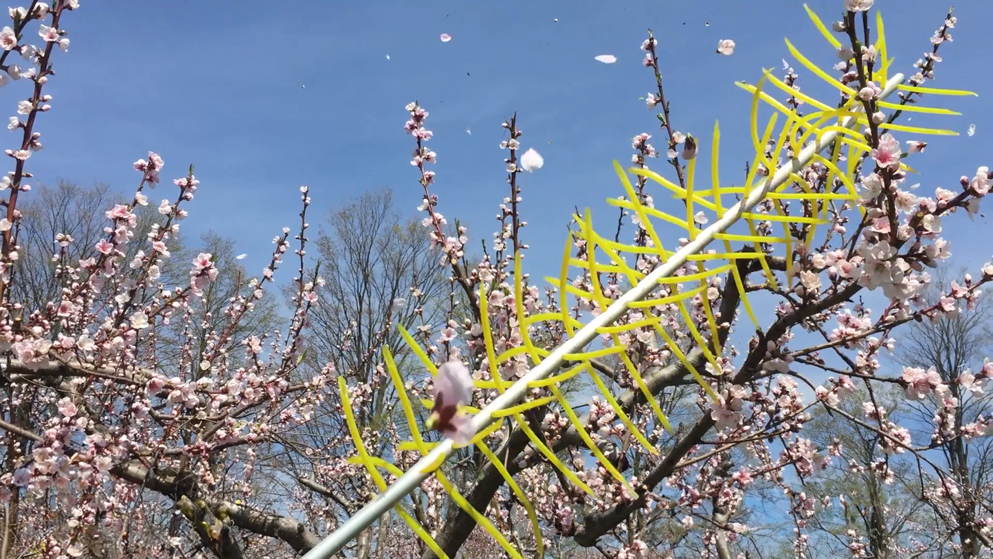 Cinch Multi-Use Blossom Thinner